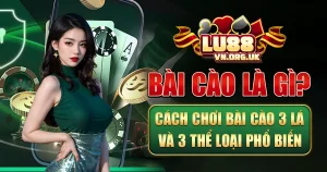 bài cào